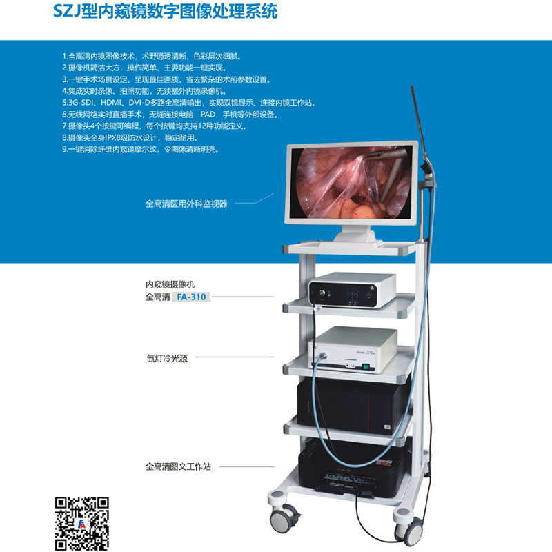 Endoscope digital image processing system (fa-310)