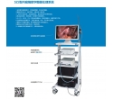 Endoscope digital image processing system (fa-311)