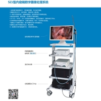 Endoscope digital image processing system (fa-311)